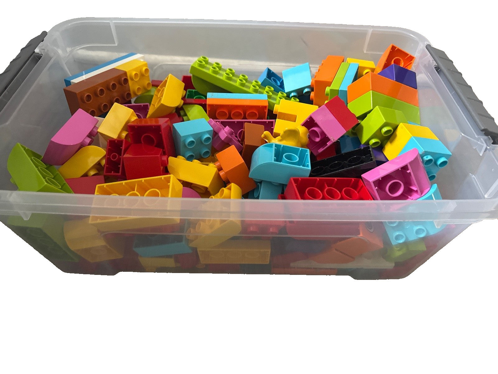 lego duplo, 197 blocks/shapes/person, 3 two sided cards, duck, fish, helicopter